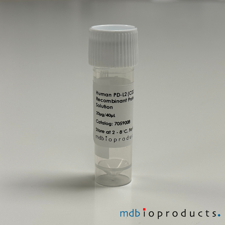 PD-L2 (CD273) Recombinant eiwit, humaan