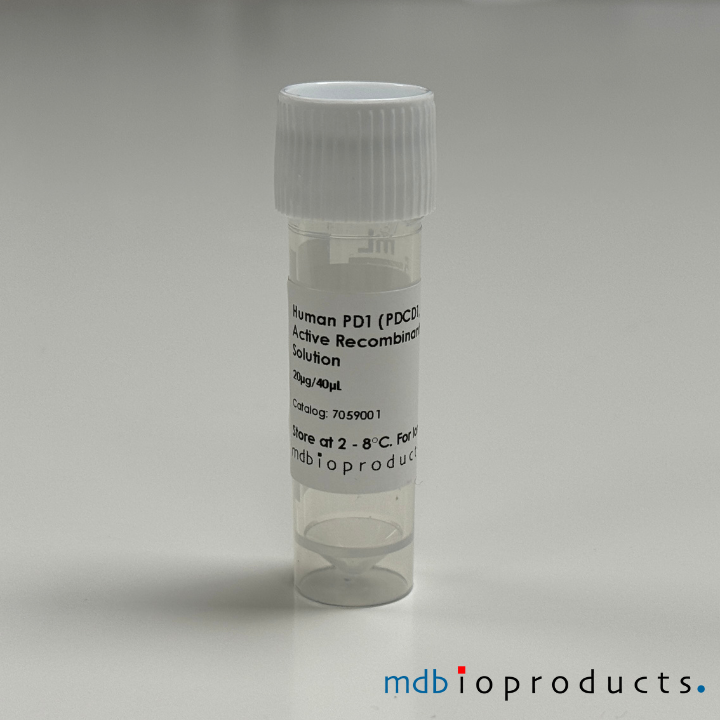 PD1 (PDCD1, CD279), actief, recombinant eiwit, humaan