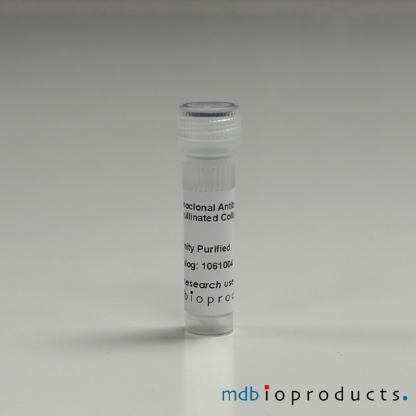 ACC4 (IgG1), Monoclonal Antibody, 100ug