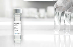 Aggrecan Antibody MD Bioproducts