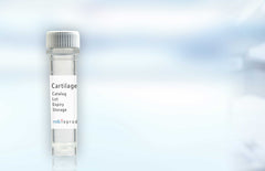 Cartilage Link Protein MD Bioproducts