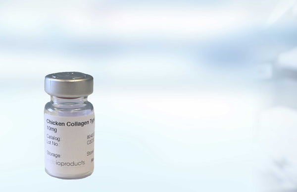 Collagen Type II, Chicken, Lyophilized, 10 mg