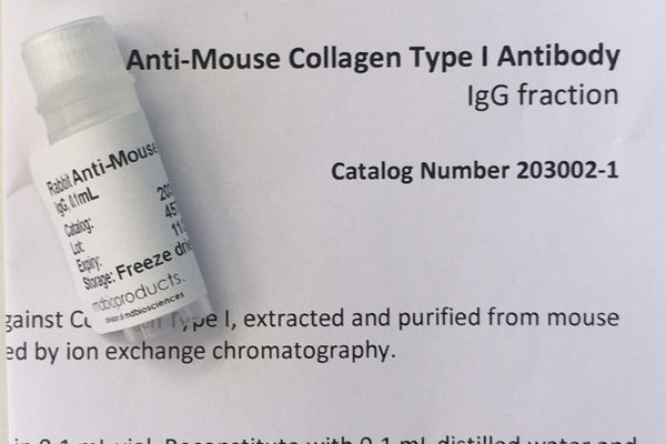 Collagen Type I Antibody, anti-Mouse, 100 uL