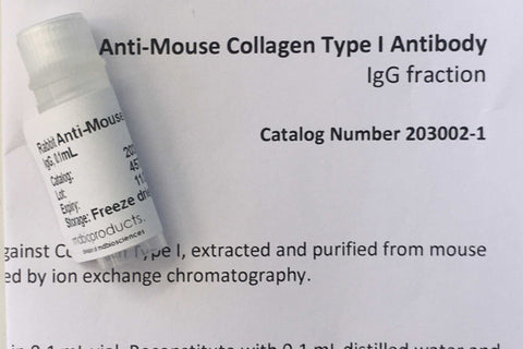 Collagen Antibody for research MD Bioproducts from MD Biosciences and MD Bioproducts