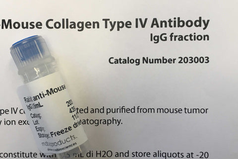 Collagen Type IV Antibody from MD Biosciences and MD Bioproducts