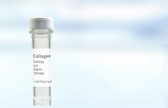 Collagen Type I and III, Porcine, 10 mg from MD Biosciences and MD Bioproducts